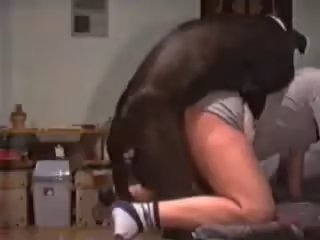 獸獸系列女子和狗上演獸交獸獸倫性交,不要錯過，精彩片段