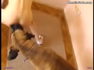 獸獸系列人狗激情熱舞,不要錯過，精彩片段