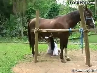 獸獸系列性福的小紅馬,不要錯過，精彩片段