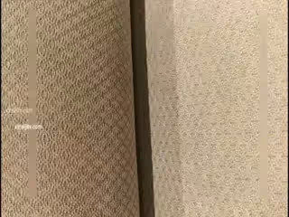 和照片一樣好看的小模特兒第02集