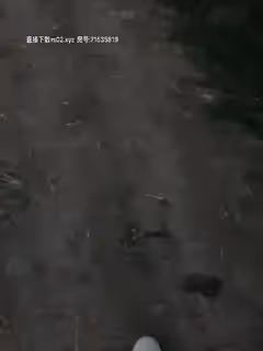 【野戰正規軍】顏值不錯妹子野地啪啪，脫光光口口地上大力猛操，很是誘惑喜歡不要錯過第05集