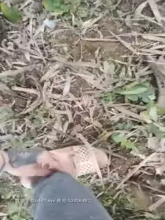 中國男子娶越南小老婆鄉下老婆特水靈顏值高還聽話荒郊小樹林野戰站著啪啪第01集