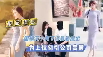 TZ國模艾小青勾引公司領導性愛視頻流出