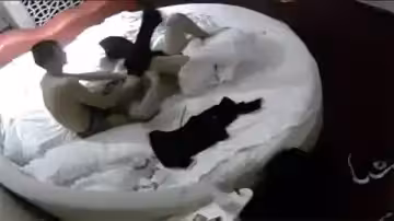 高價購入絕版珍藏！全網稀缺資源第5彈，慾火難耐獨家放送