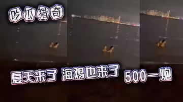 吃瓜獵奇，夏天來了，海雞也來了，500一炮