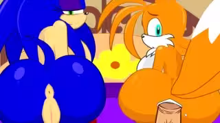 SonicTransform2無盡動畫