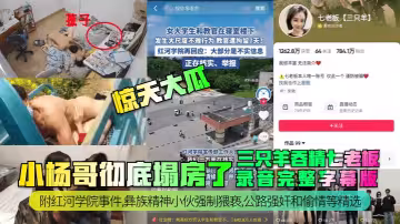 【驚天大瓜】小楊哥徹底塌房了！三隻羊吞精齊老闆錄音完整字幕版！附紅河學院事件，彝族精神小伙強制猥褻，公路強姦和偷情等精選！