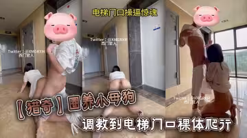 【獵奇】圈養小母狗調教到電梯門口裸體爬行