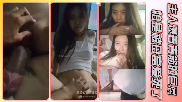 主人爆著青筋的巨屌怕是被母畜愛死了