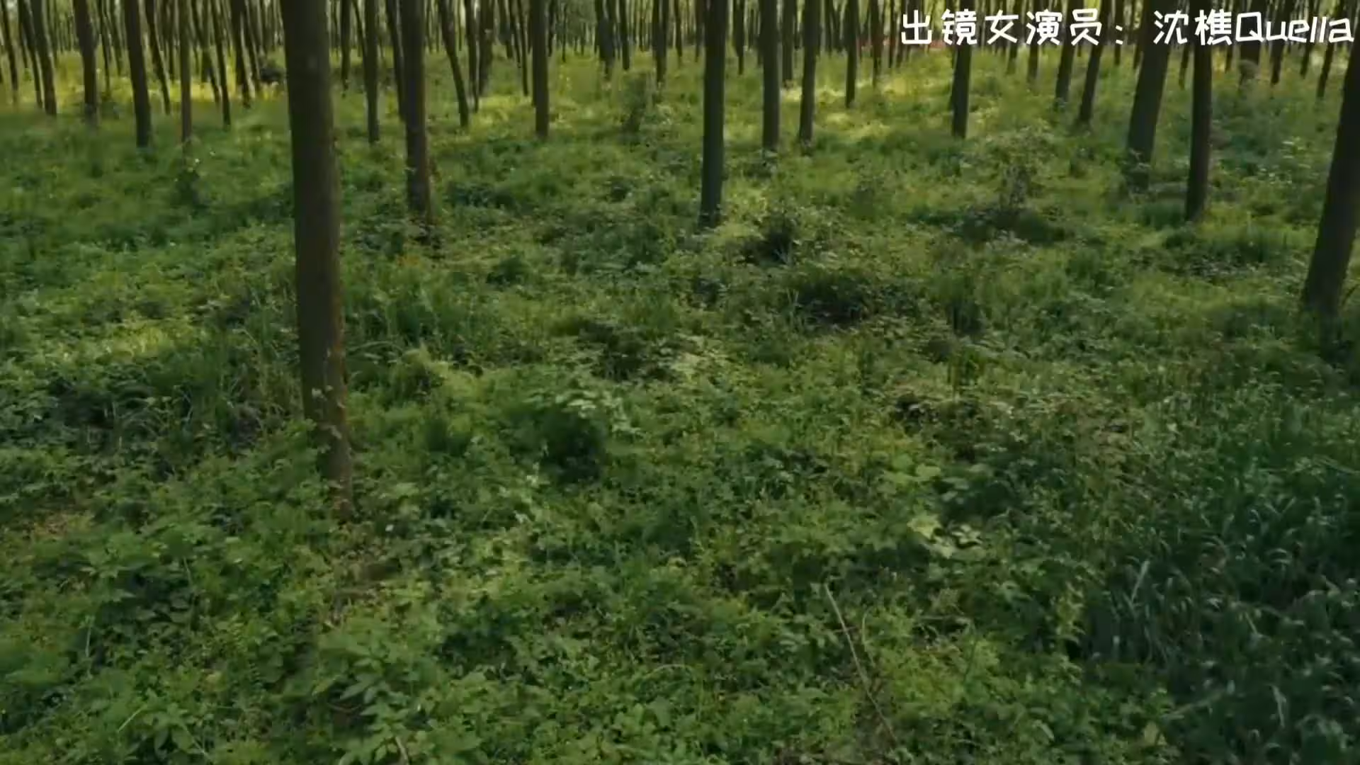 超清專題饑渴難耐的男戶主強上保潔員 new