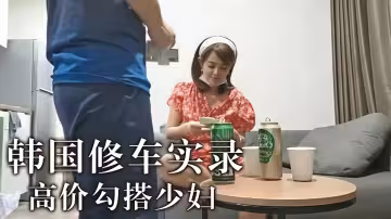 【修車實錄】韓國高價勾搭少婦