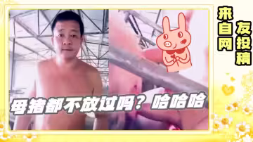 網友投稿 母豬都不放過嗎？哈哈哈