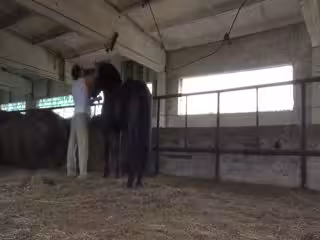 【人狗亂倫】騷氣模特不僅讓狗舔逼，還幫狗狗口交，射了一嘴巴