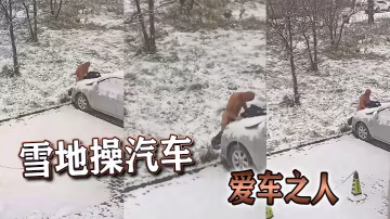 雪地操汽車愛車之人