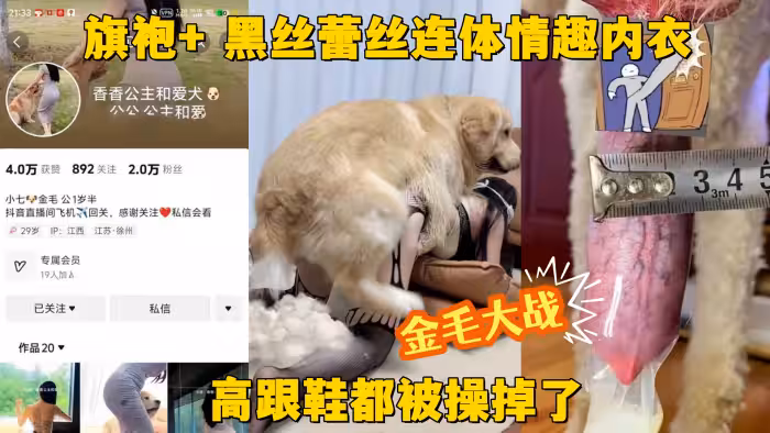【金毛大戰】抖音網紅賤狗香香公主 旗袍+ 黑絲蕾絲連體情趣內衣 金毛大戰  高跟鞋都被操掉了