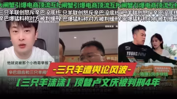 三隻羊遭輿論風波辛巴爆料旗下網紅【三隻羊沫沫】頂替盧文慶被判刑4年曾志偉連夜改名去掉三隻羊