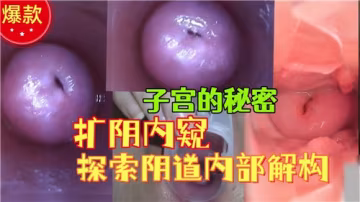 子宮深處秘密：擴陰內窺激情窺探陰道內部結構