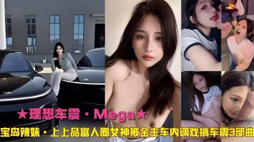 理想車震Mega寶島辣妹上上品富人圈女神被金專車內調戲搞車震3部曲