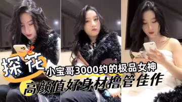 探花精選小寶哥3000網約極品女神高顏值好身材擼管佳作