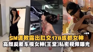 SM調教露出肛交178反差婊女神高顏值母狗私密黑料曝光