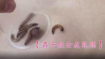 蟲子放女友乳頭妹子害怕狂叫不停的