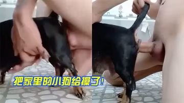 把家裡小狗操了的