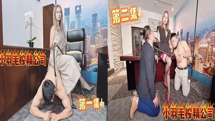 小羽毛榨精公司 能不能走出去就看你的本事了