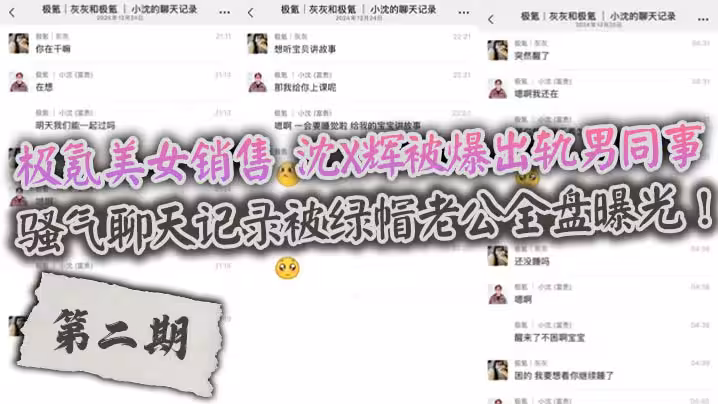 極氪美女銷售 沈X輝被爆出軌男同事，騷氣聊天記錄被綠帽老公全盤曝光！