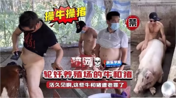 【暗網】操牛草豬，輪姦養殖場的牛和豬，活久見啊,這些牛和豬遭老罪了