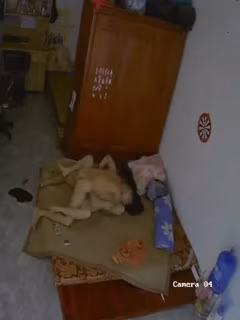 服裝店老闆娘被小夥計強行拉走強上干翻了從反抗到順從主動求艹