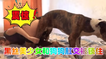 黑絲美女少女和狗狗肛交被鎖住