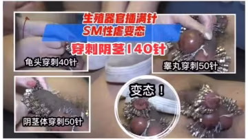 重口變態系列。。膽小勿進，生殖器官被插滿針，SM性虐變態穿針140針