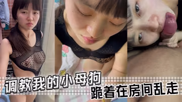 調教我的小母狗，跪著在房間亂走