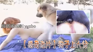 獵奇老片狗子上大分