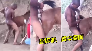 強姦驢真牛逼啊