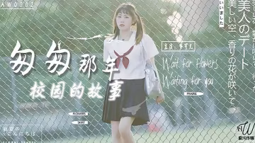 夢可兒匆匆那年校園的故事