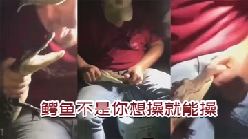 鱷魚不是你想操想操就能操