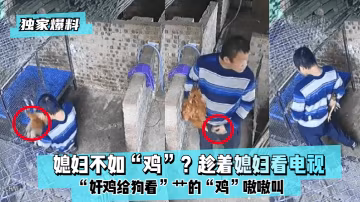 獨家爆料媳婦不如雞趁著媳婦看電視奸雞給狗看艹的雞嗷嗷叫