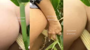 獵奇自慰草了一畝地的玉米解決