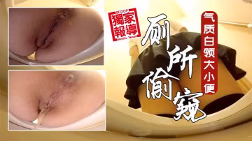 坐便坑內鏡頭偷拍多位氣質白領麗人大小便各種美鮑菊花看的一清二楚