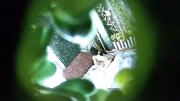 酒店偷拍綠葉房紋身猛男約炮白嫩少婦像被強暴哭腔式叫床看得我一頭霧水