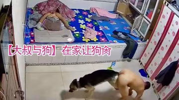 大叔與狗在家讓狗肏還被拖著走