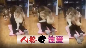 國產人獸狗狗後入抽插爽的有插了幾次