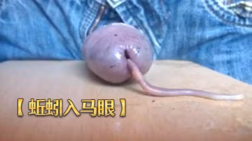 蚯蚓入馬眼奇特重口味虐雞再打飛機射出來