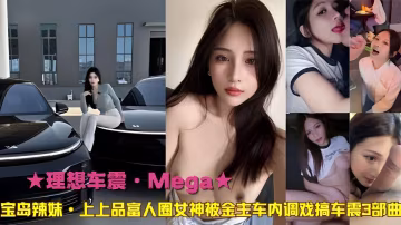 理想車震·Mega寶島辣妹·上上品富人圈女神被金專車內調戲搞車震3部曲-精品力薦..-xj