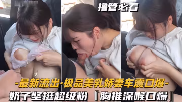 極品人妻車震偷拍！巨乳粉嫩深喉口爆