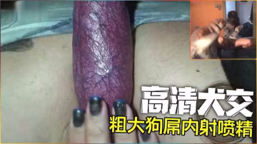 【高清犬交】巨根拔出來瞬間噴精-變態..