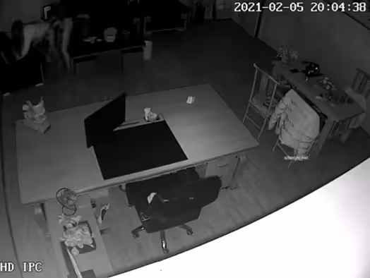【監控爆雷！】浙江某G企老總和女員工在辦公室慎入交流工作~怪不得老總辦公室很大