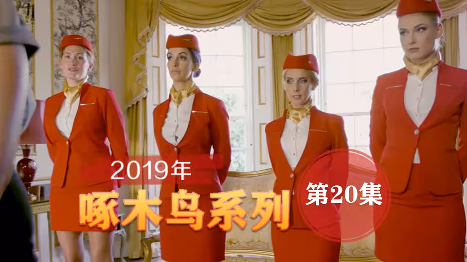 崇洋媚外極品身材美模 啄木鳥19年系列-第20集