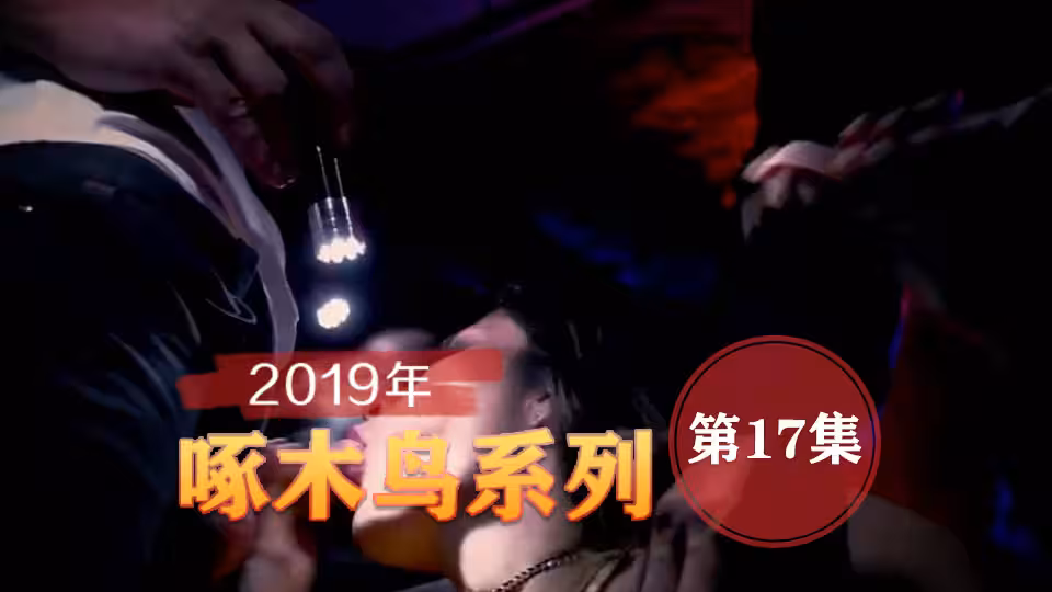 漂亮黑絲小姐姐 啄木鳥19年系列-第17集